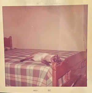 Bill Byrd